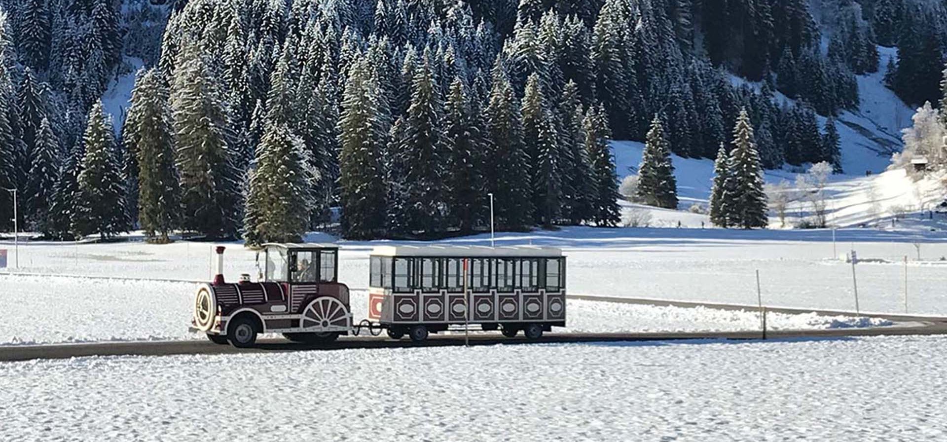 <p>Der Tannheimer <em>Alpenexpress</em></p>